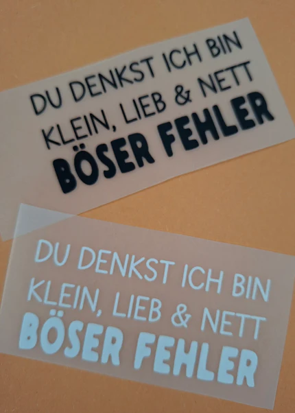 Spruch 19: Du denkst ich bin klein, lieb & nett – böser Fehler