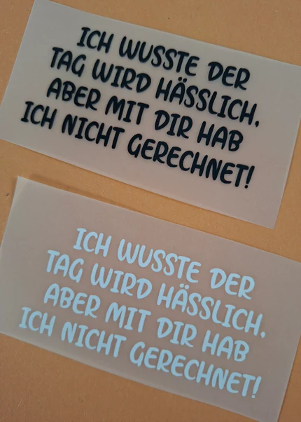 Spruch 7: Ich wusste der Tag wird hässlich, aber mit dir hab ich nicht gerechnet!