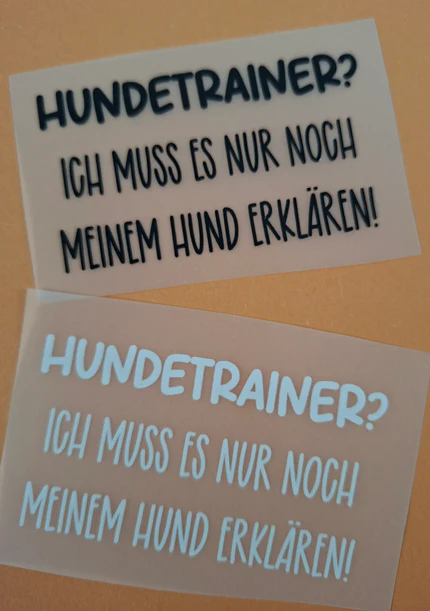 Spruch 12: Hundetrainer? Ich muss es nur noch meinem Hund erklären!