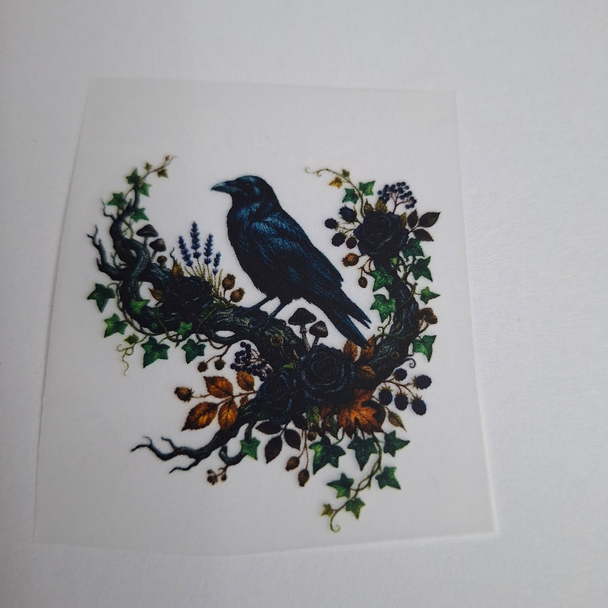 Zwei Raben mit Mystic-Symbolen – BB-0086 Bügelbild