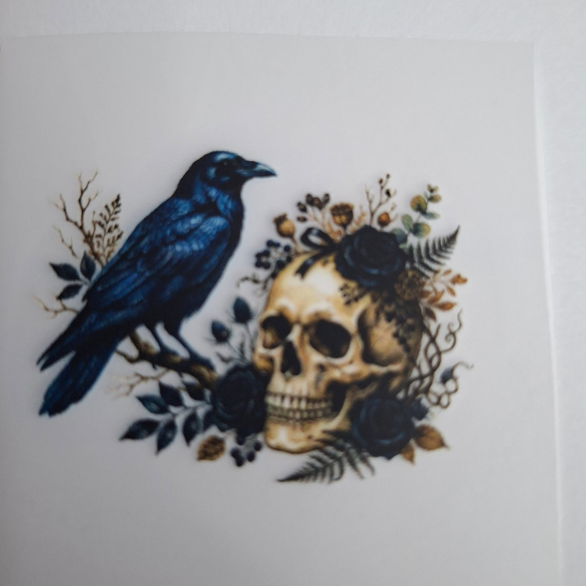 Rabe mit Totenkopf – BB-0077 Bügelbild