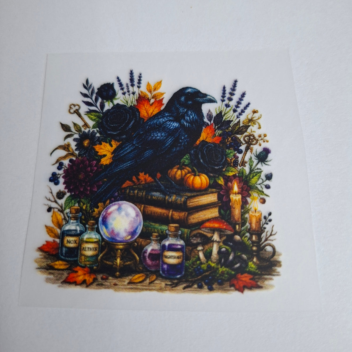 Rabe mit Büchern und Kristallkugel – BB-0088 Bügelbild