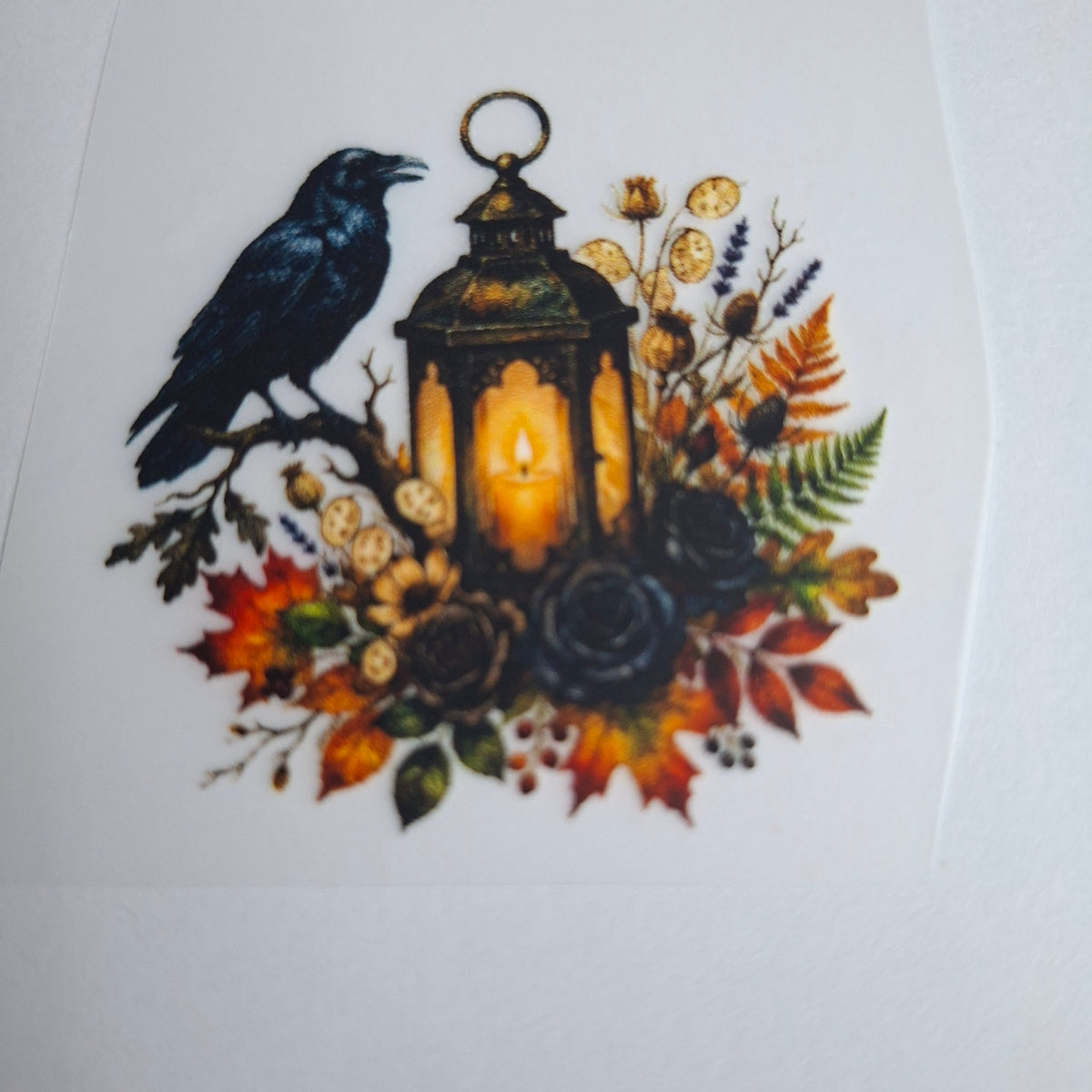 Rabe mit Laterne und Herbstblumen – BB-0071 Bügelbild