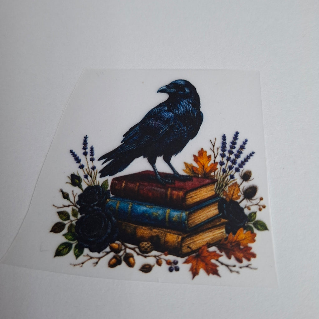 Rabe auf magischen Büchern – BB-0063 Bügelbild